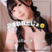 ヒメ日記 2025/03/08 09:03 投稿 かりん Versailles