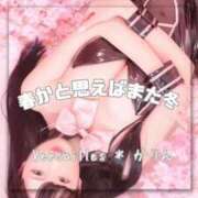 ヒメ日記 2025/03/16 08:09 投稿 かりん Versailles