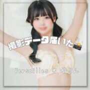 ヒメ日記 2025/04/11 19:59 投稿 かりん Versailles