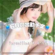 ヒメ日記 2025/05/17 17:02 投稿 かりん Versailles