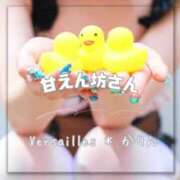 ヒメ日記 2025/07/06 08:11 投稿 かりん Versailles