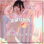 ヒメ日記 2025/07/23 16:31 投稿 かりん Versailles