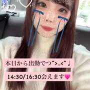 ヒメ日記 2025/11/18 11:41 投稿 かりん Versailles