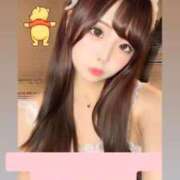 ヒメ日記 2025/11/19 09:51 投稿 かりん Versailles