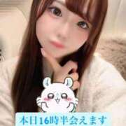 ヒメ日記 2025/11/22 11:02 投稿 かりん Versailles