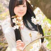 ヒメ日記 2025/11/30 18:22 投稿 かりん Versailles