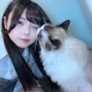 ヒメ日記 2026/02/19 18:31 投稿 かりん Versailles