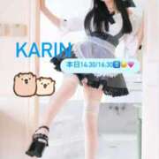 ヒメ日記 2026/04/16 11:01 投稿 かりん Versailles