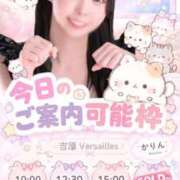 ヒメ日記 2026/10/01 09:31 投稿 かりん Versailles