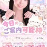 ヒメ日記 2026/10/03 09:01 投稿 かりん Versailles