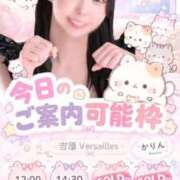 ヒメ日記 2026/10/10 08:31 投稿 かりん Versailles
