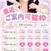 ヒメ日記 2026/10/10 15:21 投稿 かりん Versailles