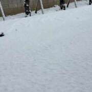 あこ ❄️ 三浦屋別館