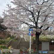 ヒメ日記 2026/03/30 11:43 投稿 瑠璃 角海老宮殿