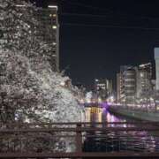 ヒメ日記 2026/04/09 11:50 投稿 瑠璃 角海老宮殿