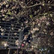 ヒメ日記 2026/04/11 11:51 投稿 瑠璃 角海老宮殿