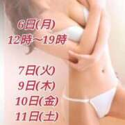 きょうこ ◆来週の予定◆ セクシーキャット 神田店