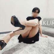 ヒメ日記 2025/03/08 17:35 投稿 サクラ 谷町人妻ゴールデン倶楽部