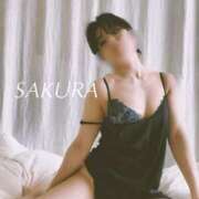 ヒメ日記 2025/03/14 17:45 投稿 サクラ 谷町人妻ゴールデン倶楽部