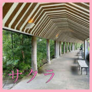 ヒメ日記 2025/08/10 16:25 投稿 サクラ 谷町人妻ゴールデン倶楽部