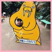 ヒメ日記 2025/09/04 17:25 投稿 サクラ 谷町人妻ゴールデン倶楽部