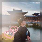 ヒメ日記 2025/12/16 17:10 投稿 サクラ 谷町人妻ゴールデン倶楽部