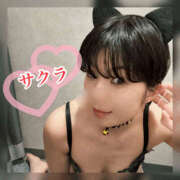 ヒメ日記 2025/12/31 09:05 投稿 サクラ 谷町人妻ゴールデン倶楽部