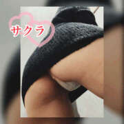 ヒメ日記 2026/01/14 18:05 投稿 サクラ 谷町人妻ゴールデン倶楽部