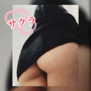 ヒメ日記 2026/02/02 22:05 投稿 サクラ 谷町人妻ゴールデン倶楽部