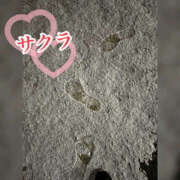 ヒメ日記 2026/02/12 13:05 投稿 サクラ 谷町人妻ゴールデン倶楽部