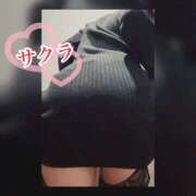 ヒメ日記 2026/03/22 18:05 投稿 サクラ 谷町人妻ゴールデン倶楽部
