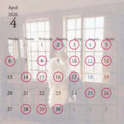 ヒメ日記 2026/04/01 13:05 投稿 サクラ 谷町人妻ゴールデン倶楽部