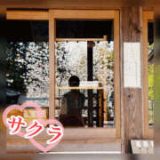ヒメ日記 2026/04/22 23:05 投稿 サクラ 谷町人妻ゴールデン倶楽部