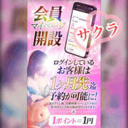 ヒメ日記 2026/05/08 13:05 投稿 サクラ 谷町人妻ゴールデン倶楽部