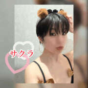 ヒメ日記 2026/05/20 13:05 投稿 サクラ 谷町人妻ゴールデン倶楽部