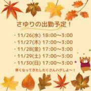 ヒメ日記 2025/11/26 17:36 投稿 さゆり IRIS(岐阜)