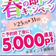 ヒメ日記 2024/03/24 19:02 投稿 あや 即トク奥さん