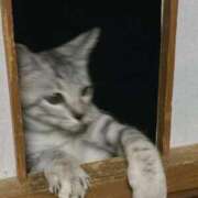 ひなこ かわい子ちゃん🐾 DOLCE