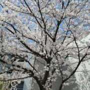 ヒメ日記 2025/04/03 20:56 投稿 まりん エディーズ