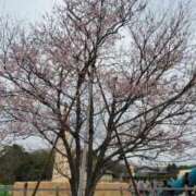 ヒメ日記 2026/03/20 18:19 投稿 まりん エディーズ