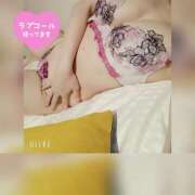 ヒメ日記 2025/04/12 09:53 投稿 かおり AVANCE福岡