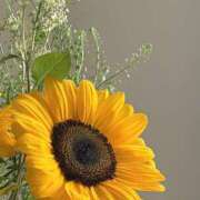 ヒメ日記 2025/06/20 13:45 投稿 まな 奥鉄オクテツ東京店（デリヘル市場）