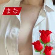 ヒメ日記 2025/06/24 19:00 投稿 まな 奥鉄オクテツ東京店（デリヘル市場）