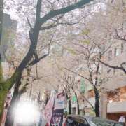 ヒメ日記 2025/04/03 08:01 投稿 あんり 池袋コスプレサンシャイン（シンデレラグループ）