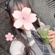 ヒメ日記 2025/06/08 14:29 投稿 あんり 池袋コスプレサンシャイン（シンデレラグループ）