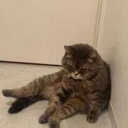 ヒメ日記 2025/01/28 17:08 投稿 勝ち戦❗️時代はマワル グッドスマイル