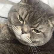 ヒメ日記 2025/02/22 14:01 投稿 勝ち戦❗️時代はマワル グッドスマイル