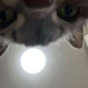 ヒメ日記 2025/03/08 08:53 投稿 勝ち戦❗️時代はマワル グッドスマイル