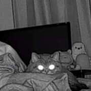 ヒメ日記 2025/03/22 19:59 投稿 勝ち戦❗️時代はマワル グッドスマイル