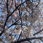 ヒメ日記 2025/04/01 15:41 投稿 勝ち戦❗️時代はマワル グッドスマイル